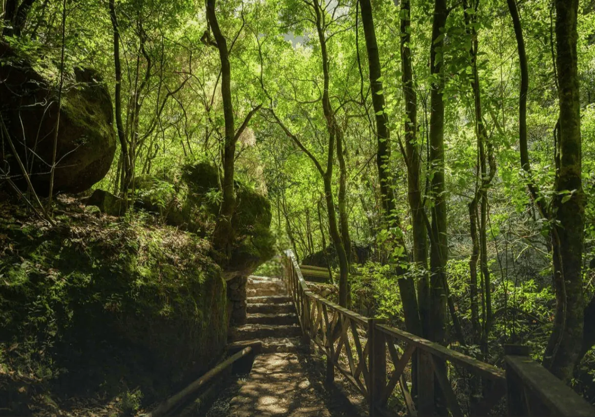 Qué hacer en La Palma